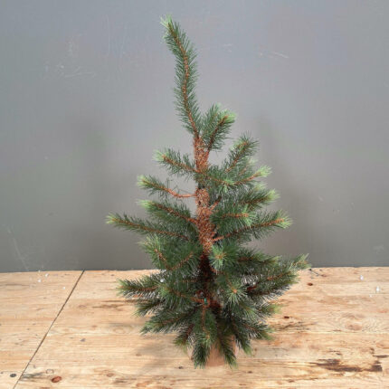Μικρό Χριστουγεννιάτικο Δέντρο Ξύλινη Βάση 60εκ