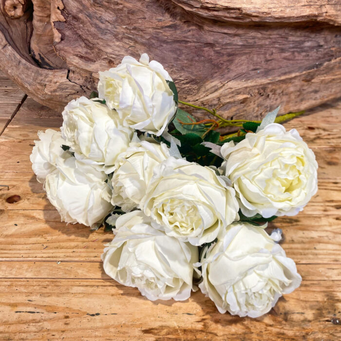 Ρίζα Λευκά Τριαντάφυλλα 10τμχ