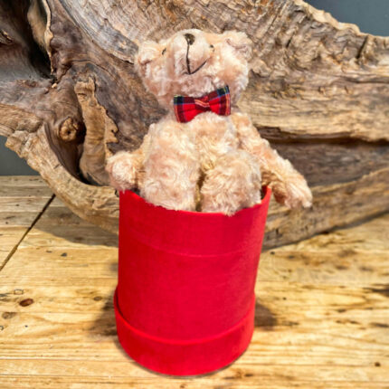 Χριστουγεννιάτικο Διακοσμητικό Αρκουδάκι Καφέ Σε Κόκκινο Κουτί 21εκ