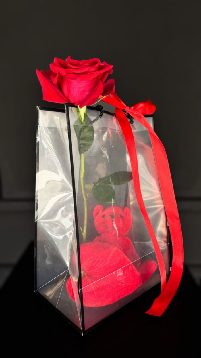 Αρκουδάκι Κόκκινο Σε Τσάντα Διάφανη Με Καρδιά & Τριαντάφυλλο