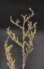 Χριστουγεννιάτικο Κλαδί Με Χρυσά Berries 86εκ
