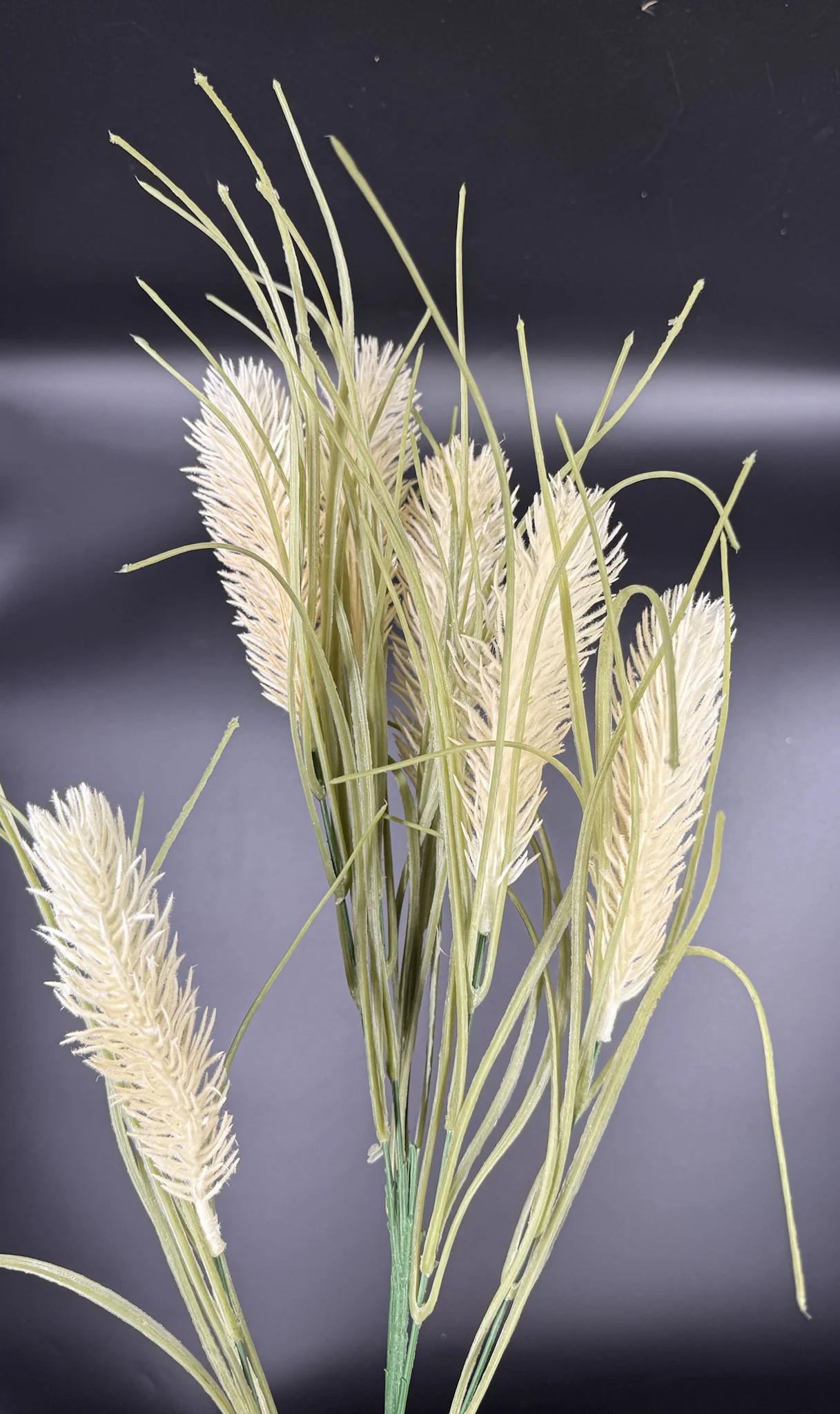 tehnita-pampas-diakosmitika-ekroy-kladi Τεχνητά Πάμπας Διακοσμητικά Εκρού Σε Κλαδί