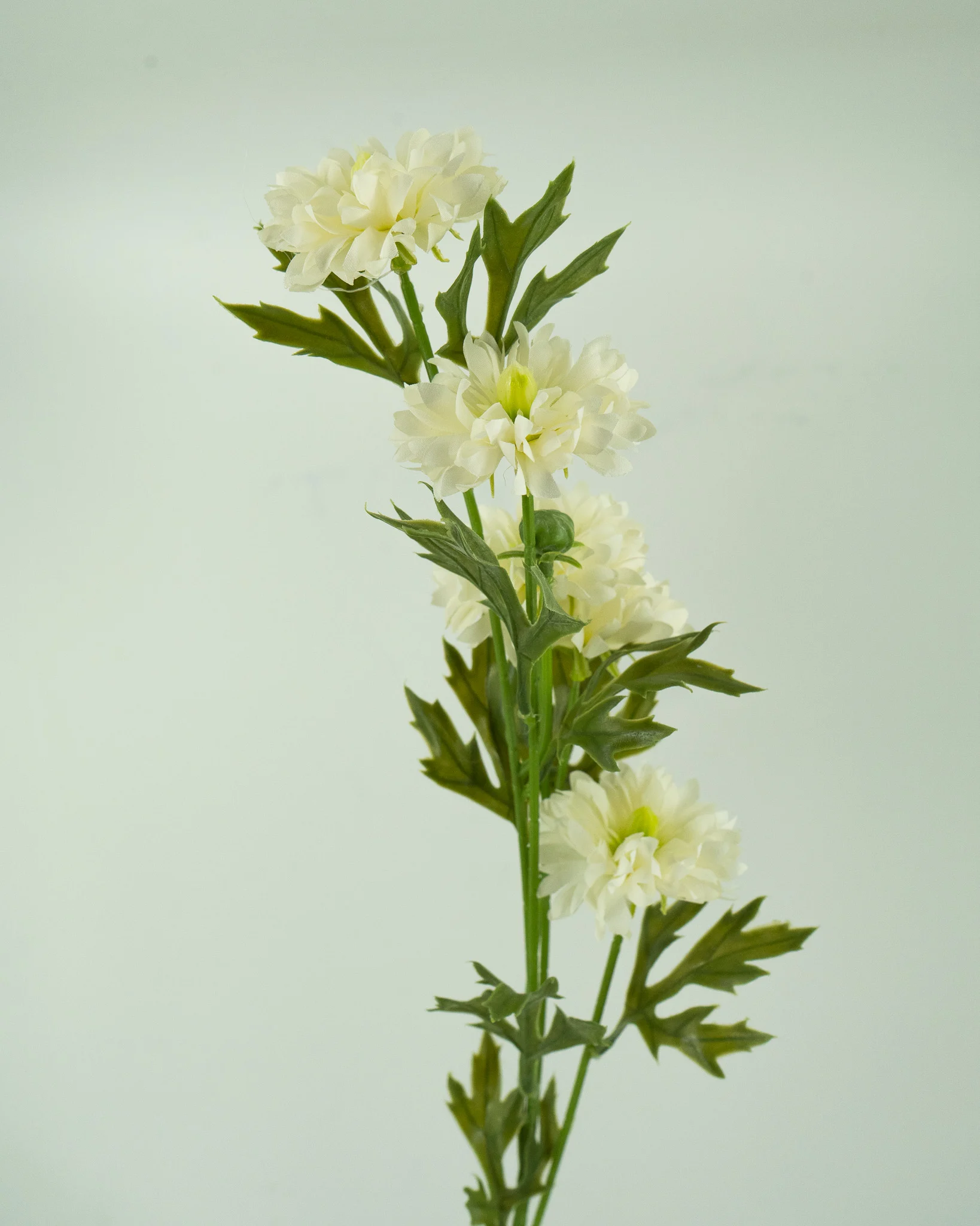 technita-louloudia-chrysanthema-lefka-mikra Τεχνητά Λουλούδια Χρυσάνθεμα Λευκά Μικρά 64εκ